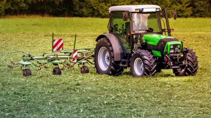 Kosiarka i piła teleskopowa Stihl dla zadbanego ogrodu